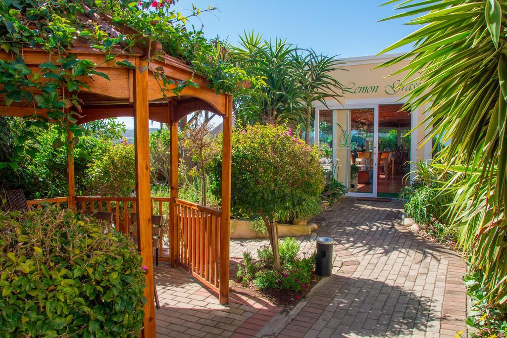 Milkwood Manor On Sea Bed & Breakfast Плетенбърг Бей Екстериор снимка